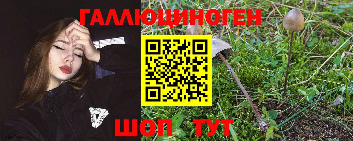 Галлюциногенные грибы мухоморы Кинешма