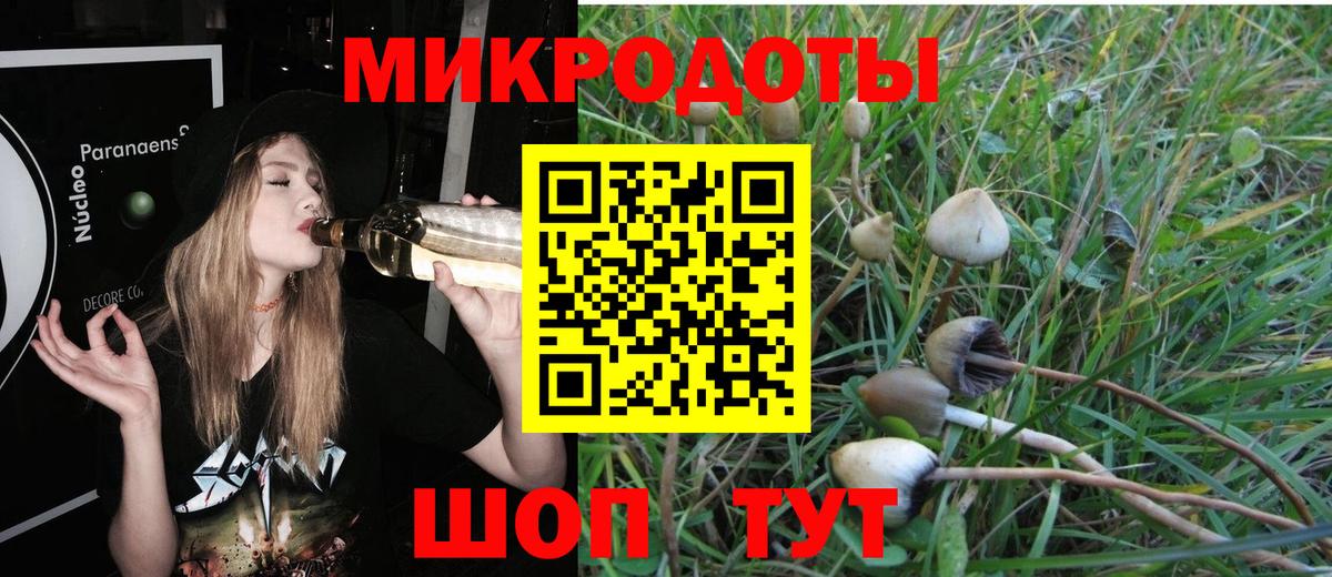 Псилоцибиновые грибы ЛСД  Псилоцибиновые грибы Magic Shrooms  Вход с VPN  Кинешма 