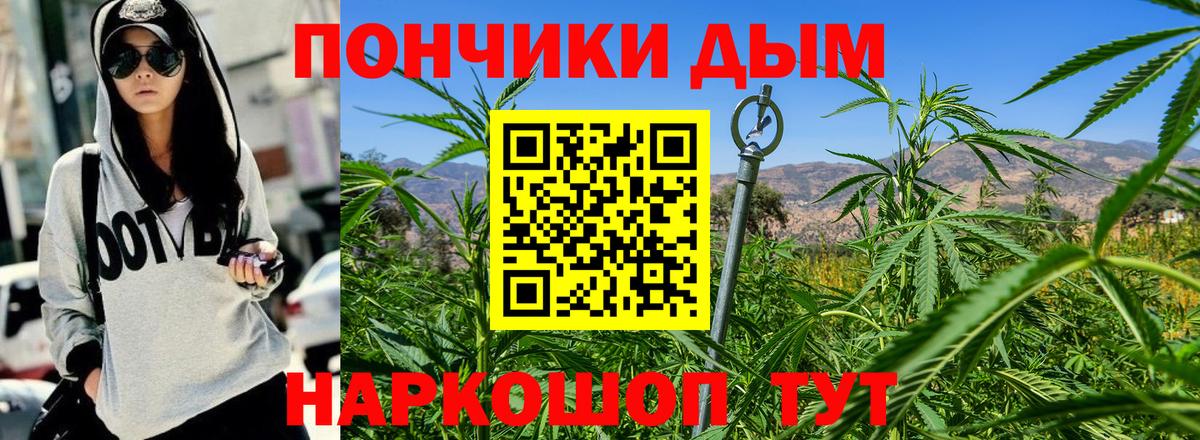 Шишки марихуана конопля Кинешма